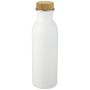 Gourde de sport en acier inoxydable 650 ml 