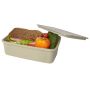 Lunch box en plastique recyclé 