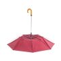 Parapluie Branit