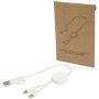 Câble de synchronisation de données et de charge rapide 27 W 30 cm en plastique recyclé 5 en 1 