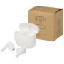 Écouteurs Bluetooth® True Wireless en plastique recyclé avec embouts en silicone 