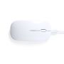 Souris Chestir RCS