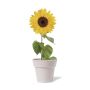 Vase Tumil