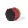 Haut-parleur Moore