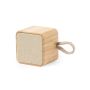 Haut-parleur Kiefer