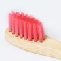 Brosse à dents Becu