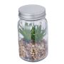 Plante Décorative Kyala