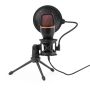 Microphone à Condensateur Densha
