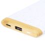 Batterie Externe Coquine