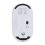 Souris Doryt RCS