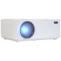 Projecteur P10 