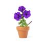 Vase Soltax