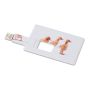 Carte de crédit. Clé USB 16 Go
