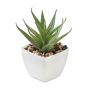 Mini plante artificielle