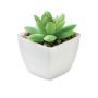 Mini plante artificielle