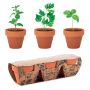 Set de pots en terre cuite pour 3 herbes