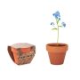 Vase en terre cuite 'myosotis'