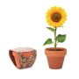 Vase en terre cuite 'tournesol'