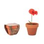 Vase en terre cuite 'pavot'