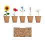 Kit de culture de fleurs