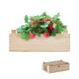 Kit fraises boîte en bois