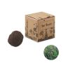 Kit de graines fleurs d’abeille