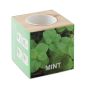 Porte-graines Menthe