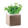 Mélange de graines Menthe
