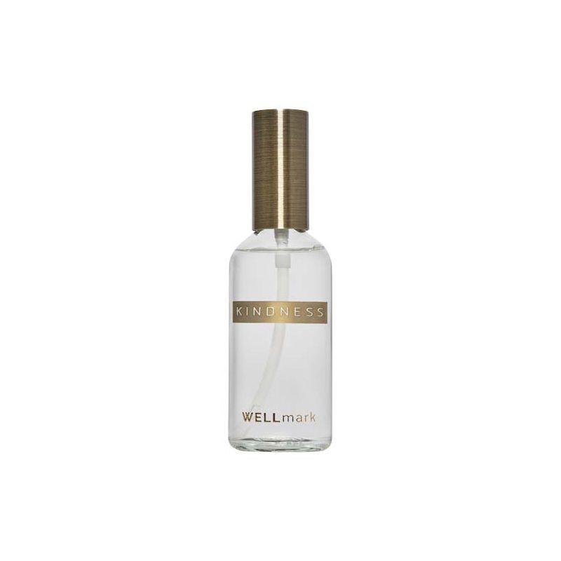 Spray désodorisant d’ambiance 100 ml "Wellmark"