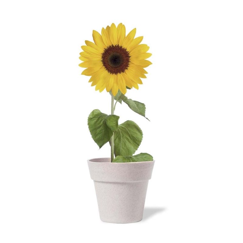 Vase Tumil