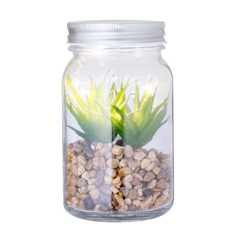 Plante Décorative Kyala
