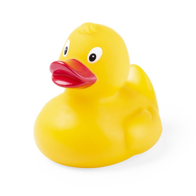 Canard Koldy