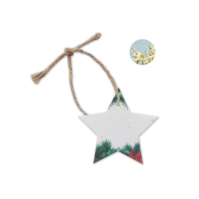 Papier ensemencé de Noël