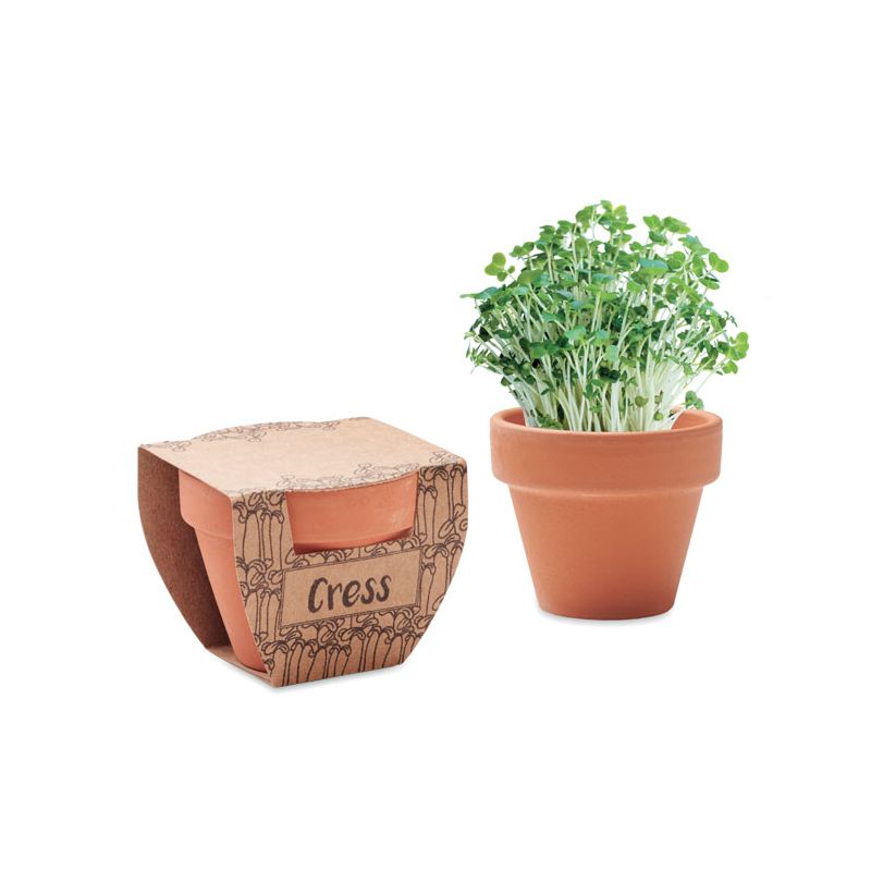 Cresson en pot