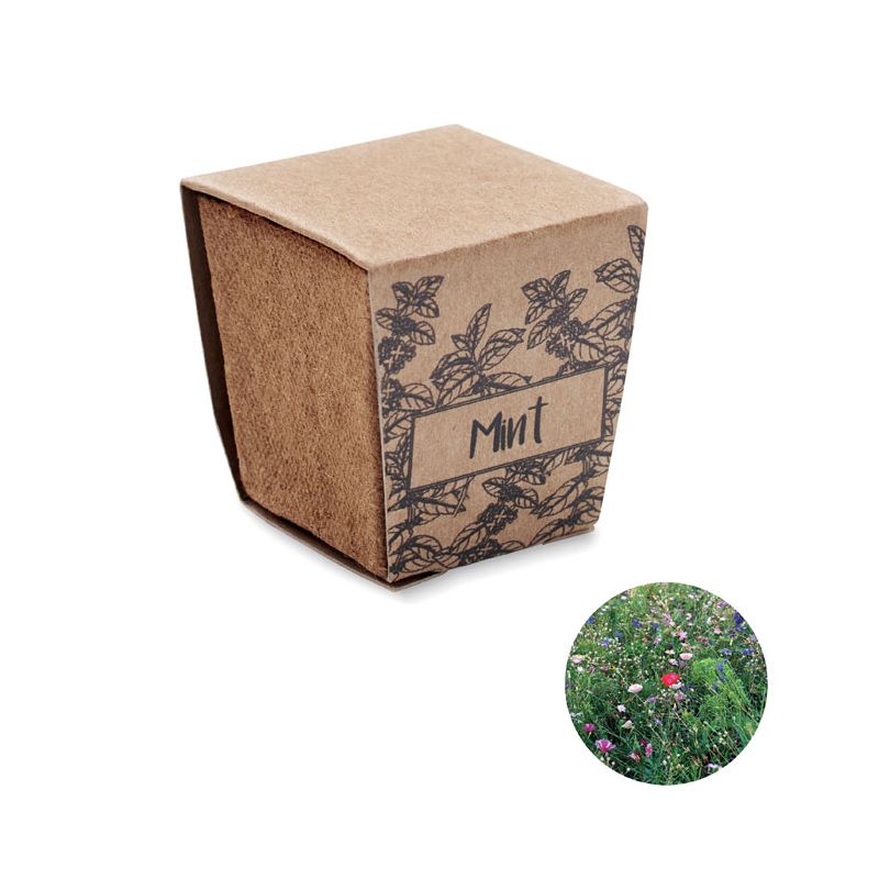 Kit de culture de graines de menthe