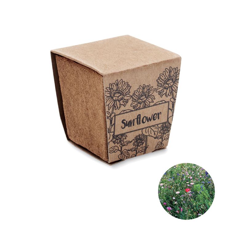Kit de culture de tournesol