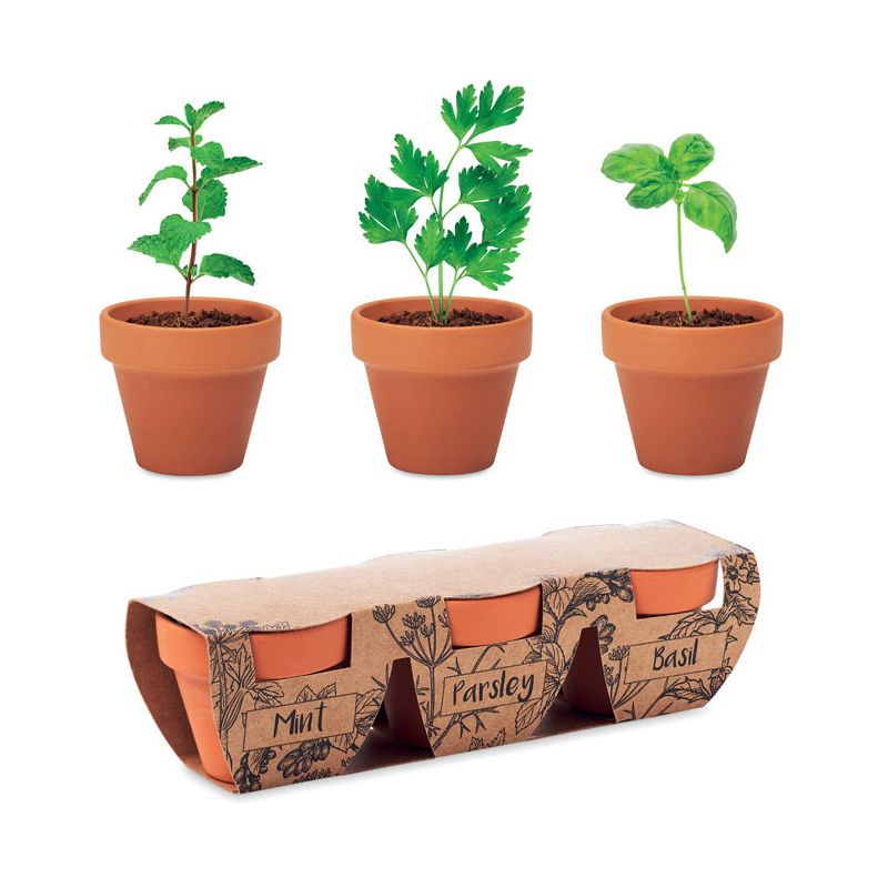 Set de pots en terre cuite pour 3 herbes