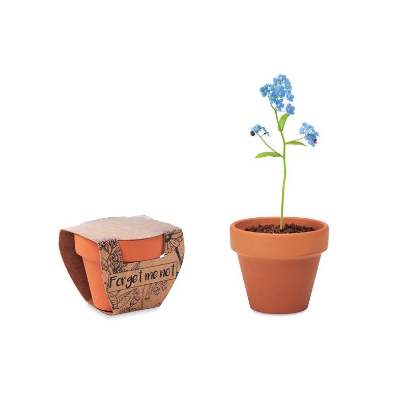 Vase en terre cuite 'myosotis'