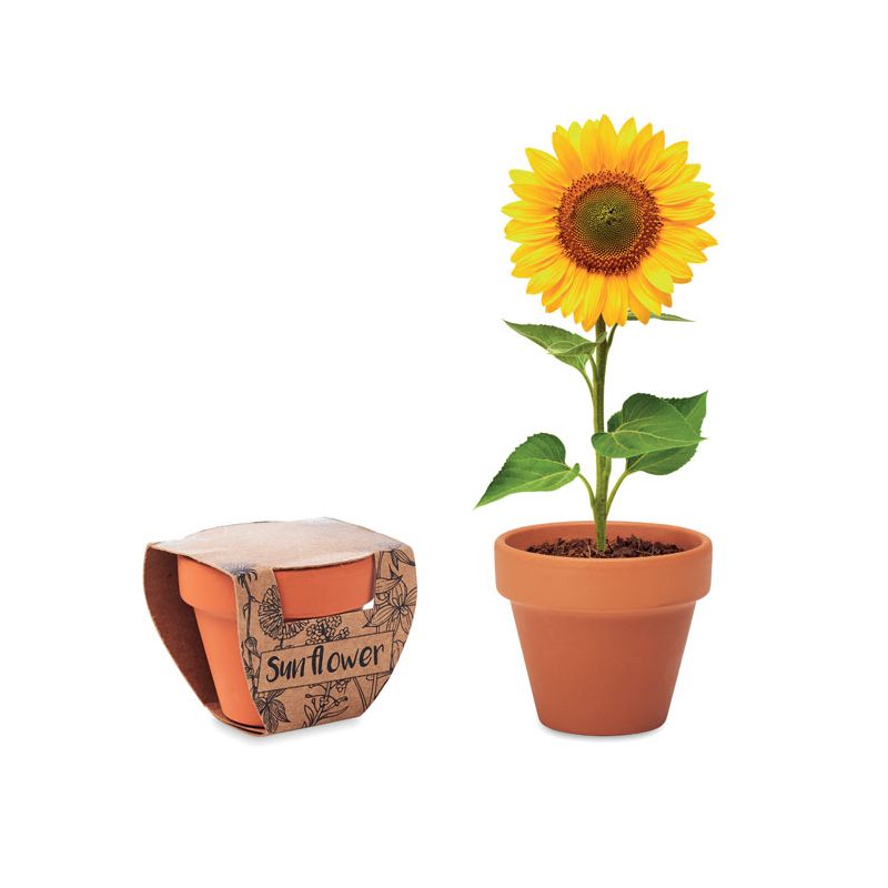 Vase en terre cuite 'tournesol'