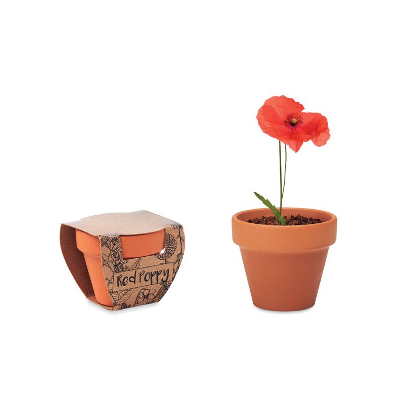 Vase en terre cuite 'pavot'