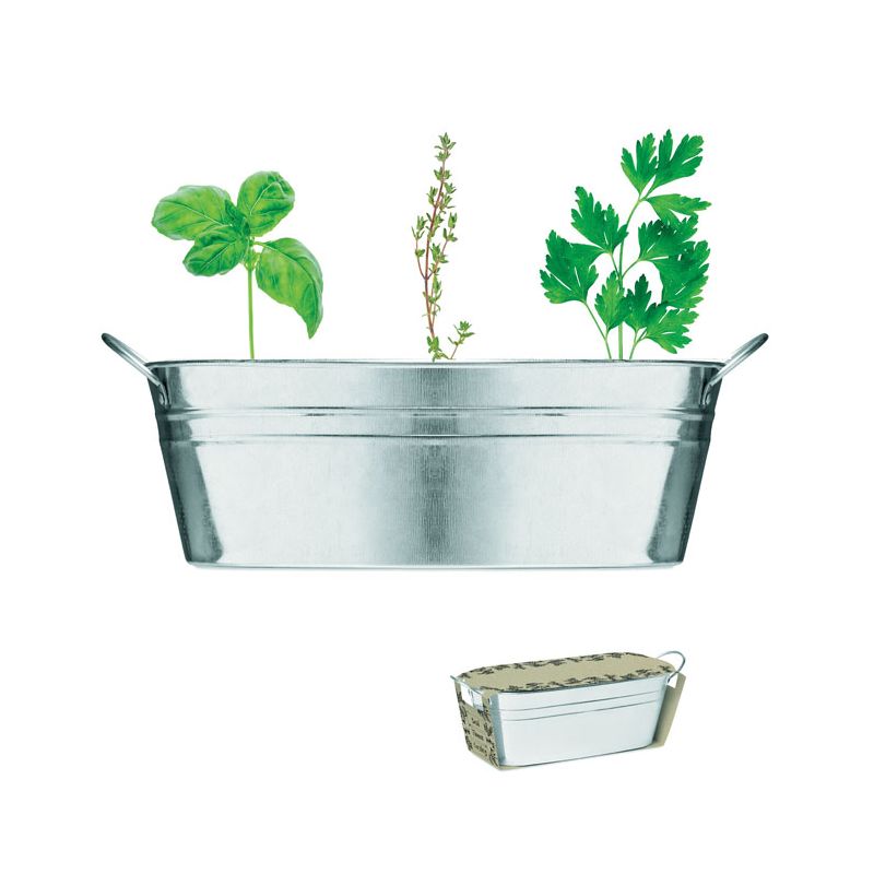 Vase 3 graines d’herbes