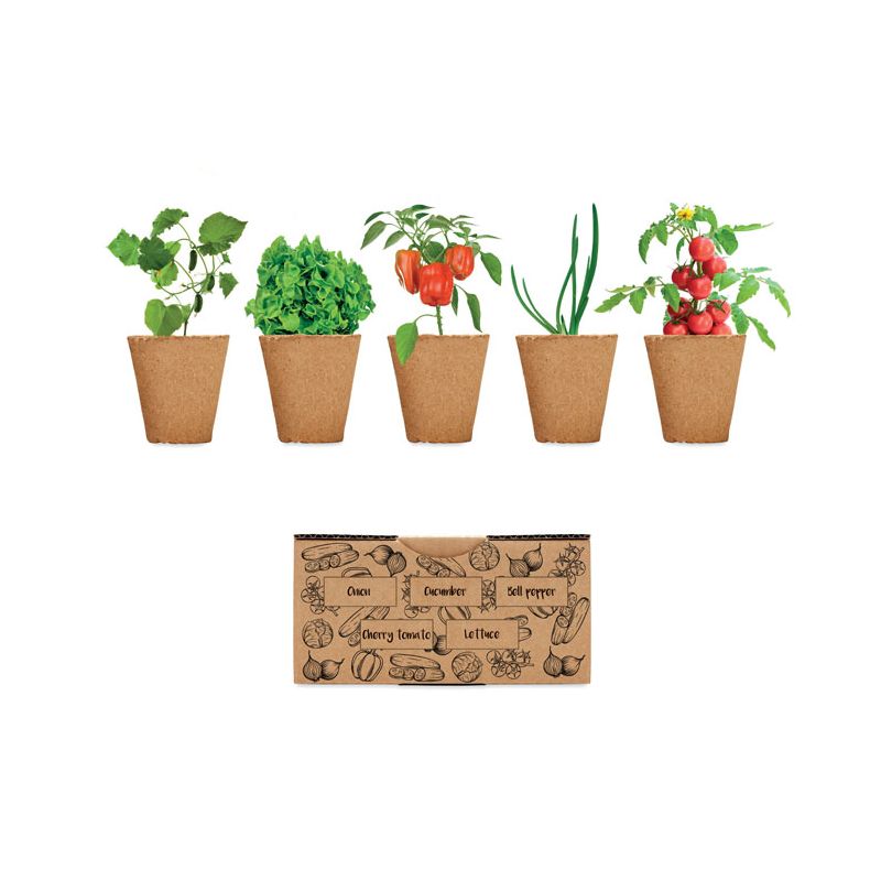 Kit de culture de salades