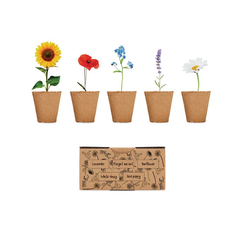 Kit de culture de fleurs