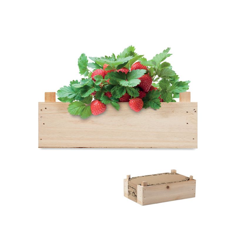 Kit fraises boîte en bois