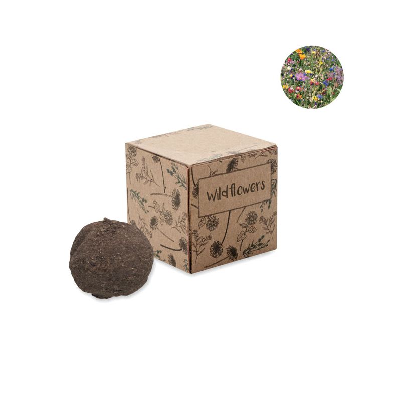 Kit de culture bombes de graines