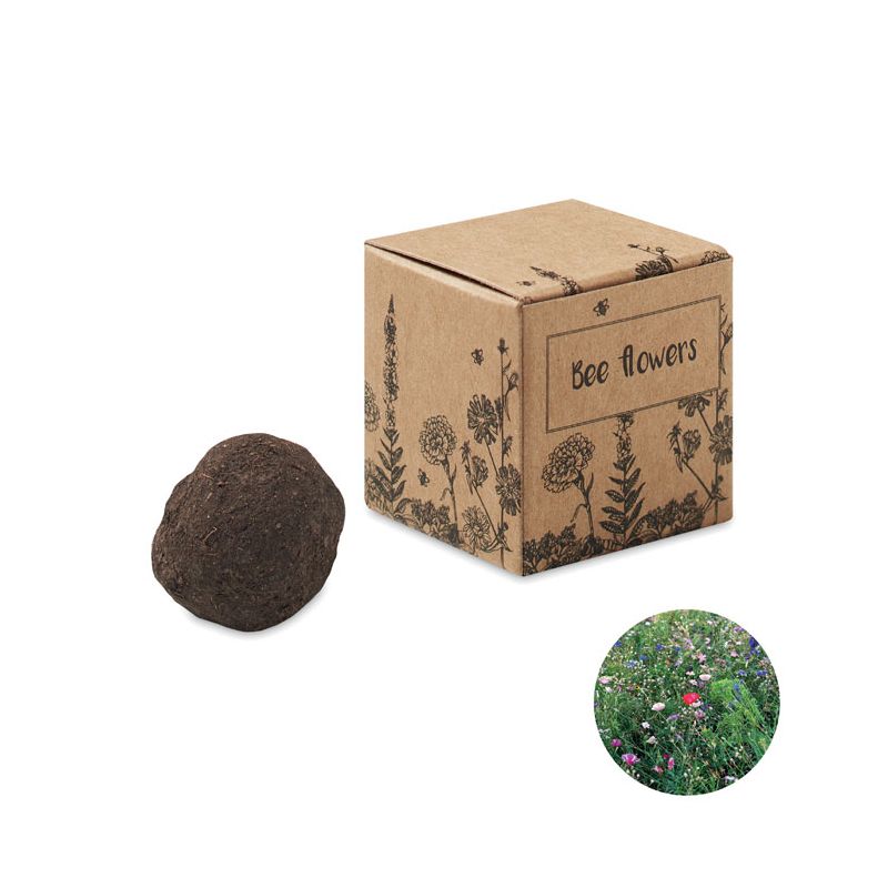 Kit de graines fleurs d’abeille