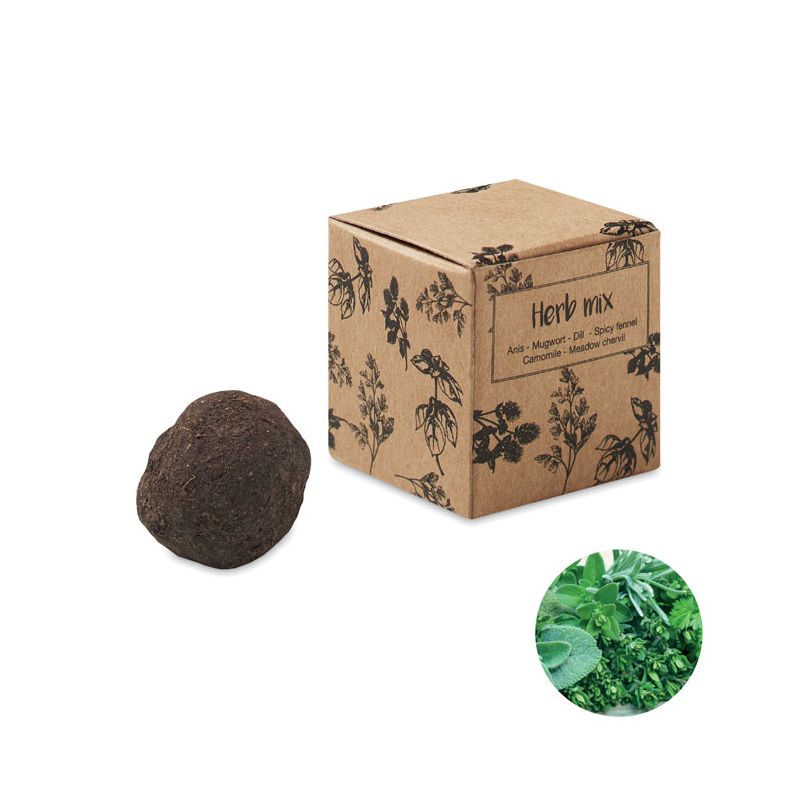 Kit de graines d'herbes