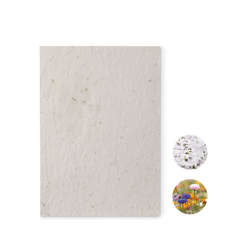 Papier à graines de fleurs A5
