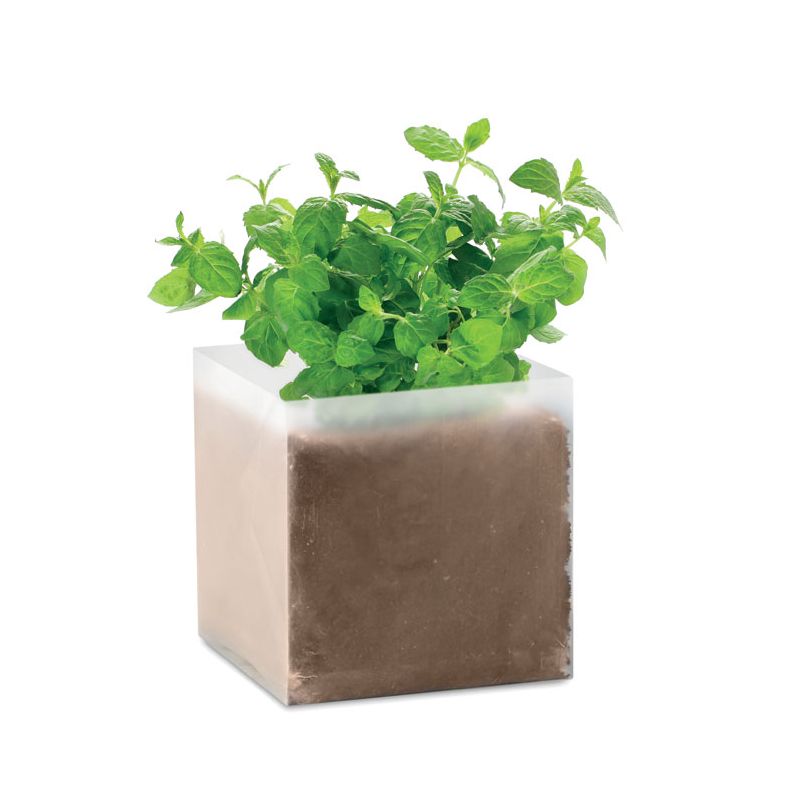 Mélange de graines Menthe