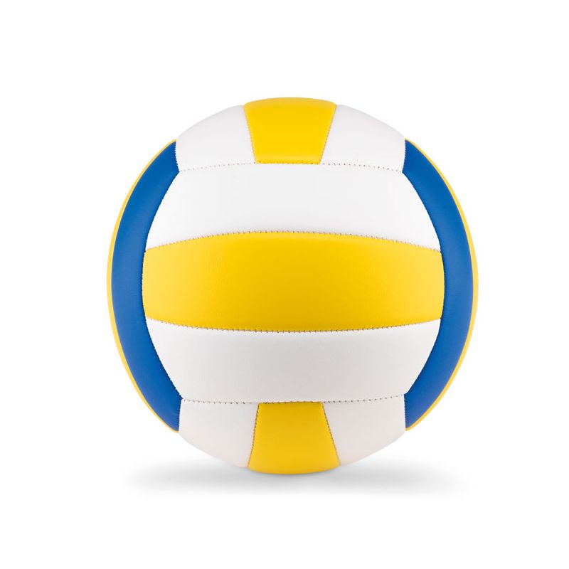 Ballon de volley-ball